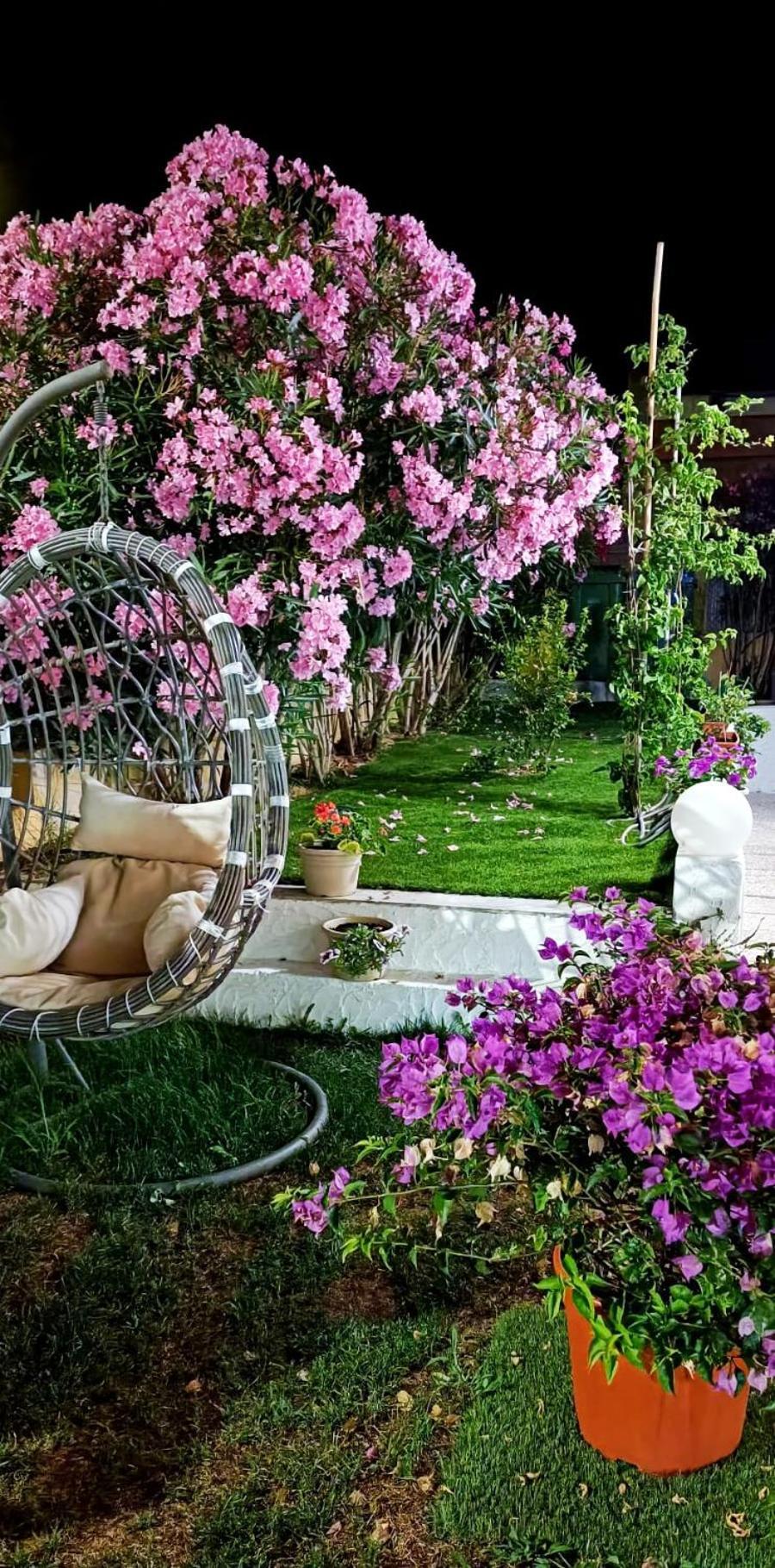 La Smeralda - Boutique And Breakfast Affittacamere Golfo Aranci