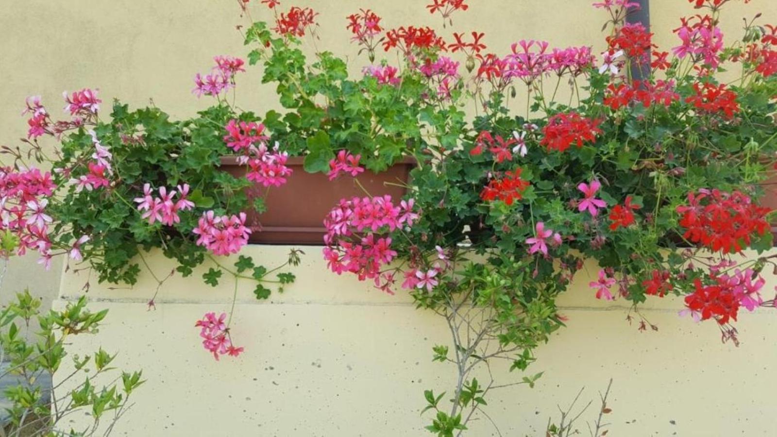 La Smeralda - Boutique And Breakfast Gasthof Golfo Aranci